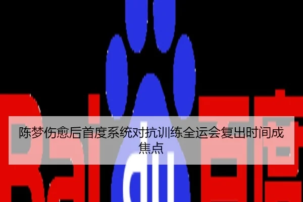 陈梦伤愈后首度系统对抗训练全运会复出时间成焦点