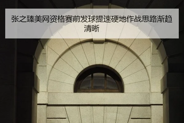 张之臻美网资格赛前发球提速硬地作战思路渐趋清晰