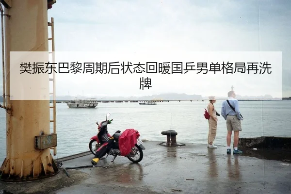 樊振东巴黎周期后状态回暖国乒男单格局再洗牌