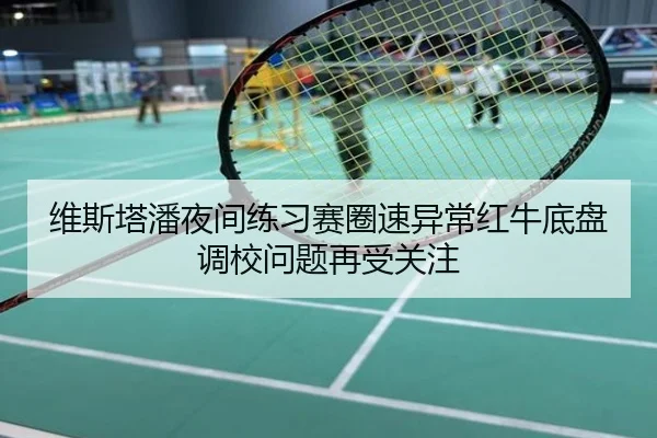 维斯塔潘夜间练习赛圈速异常红牛底盘调校问题再受关注